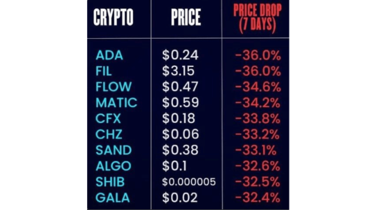 A bus full of whores